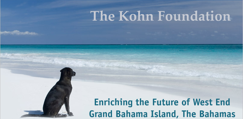 The Kohn Foundation